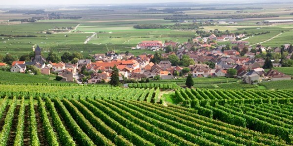 Couverture 4G : quel opérateur choisir en Champagne-Ardenne ?