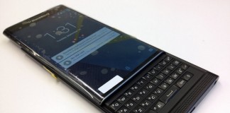 blackberry venice photo