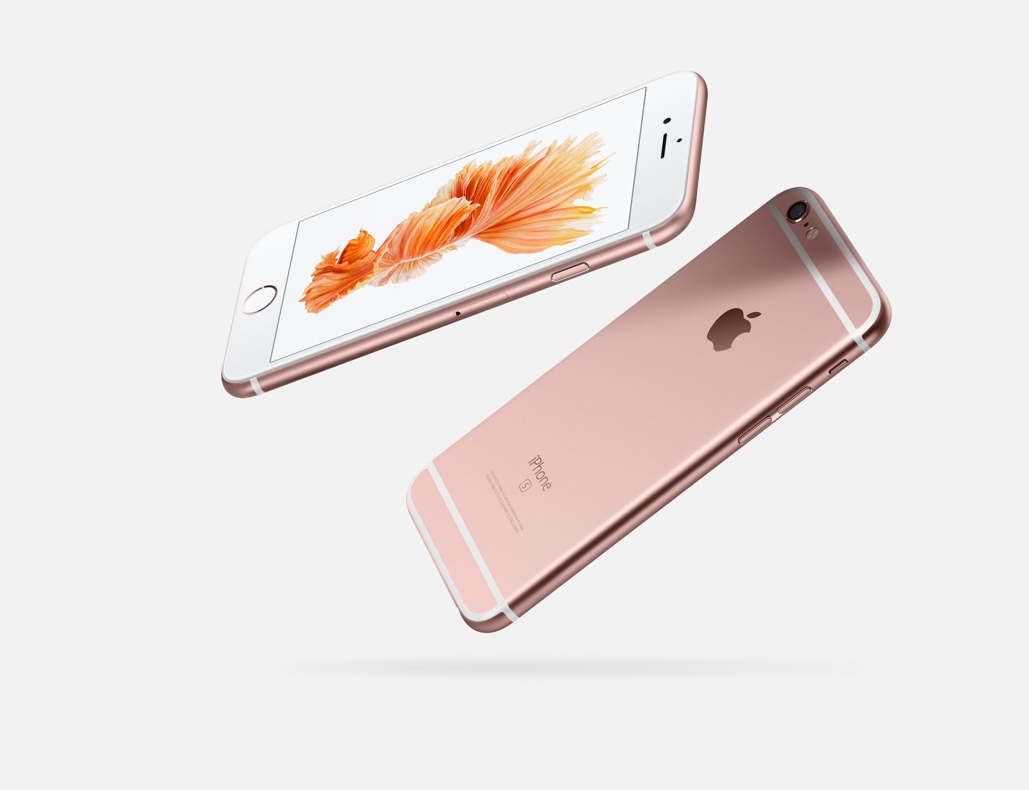 iPhone 6S plus or Rose