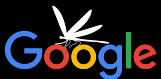 Dragonfly Google